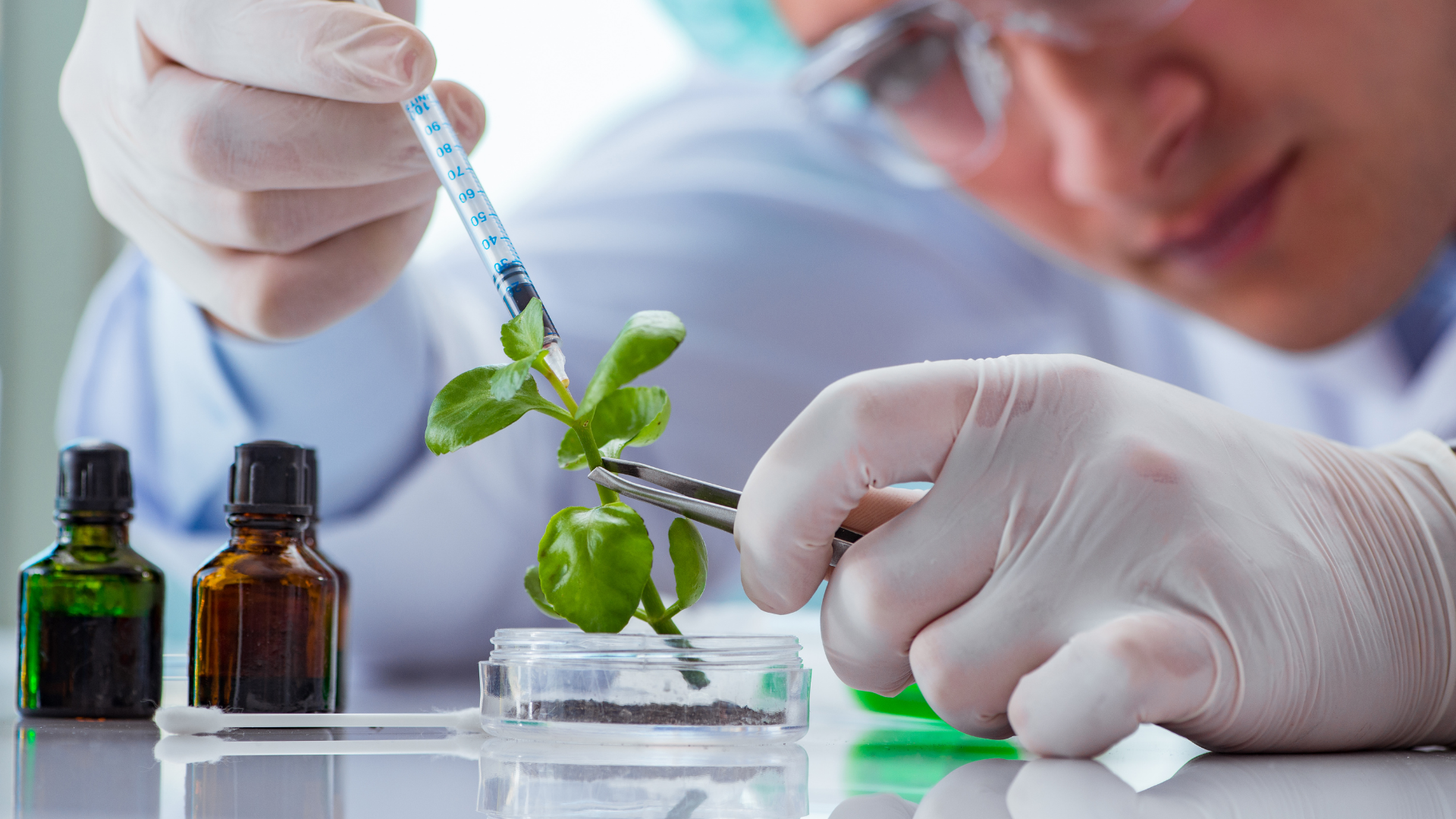 Banner Maestría en Biotecnología y Gestión Ambiental